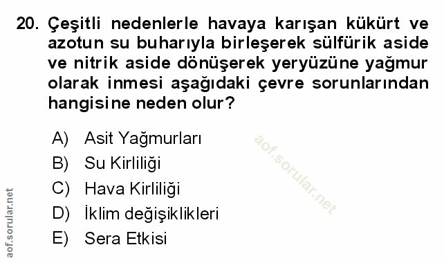 Soru 20