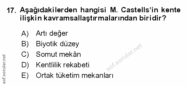 Soru 17
