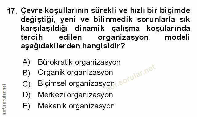 Soru 17