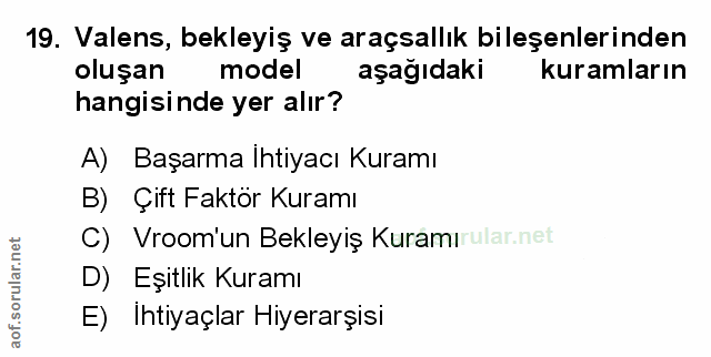 Soru 19