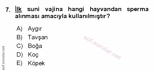 Soru 7