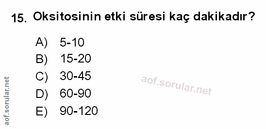 Soru 15