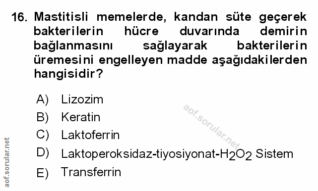 Soru 16