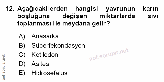 Soru 12