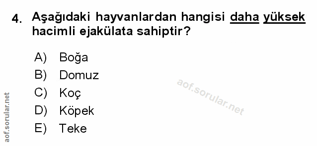 Soru 4