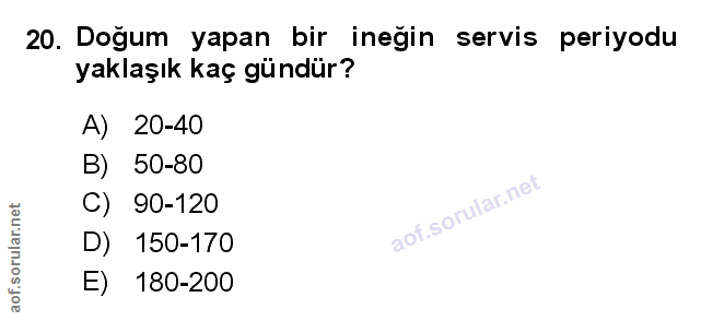 Soru 20