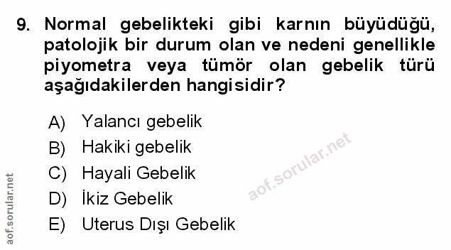 Soru 9