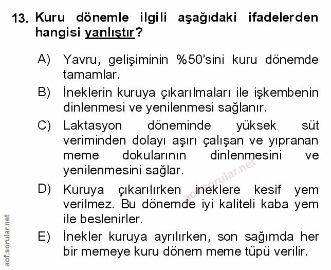 Soru 13