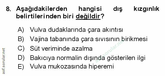 Soru 8