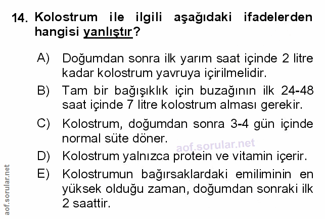Soru 14
