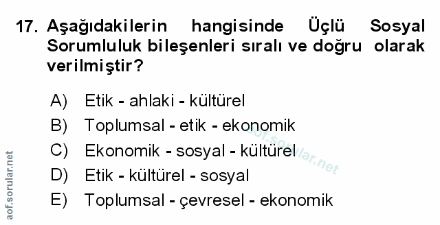 Soru 17