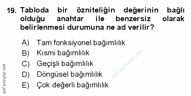 Soru 19