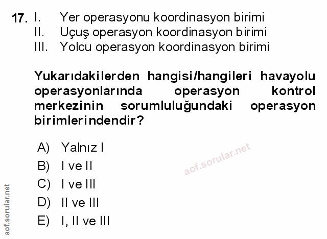 Soru 17
