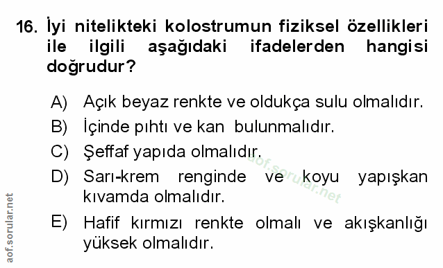 Soru 16