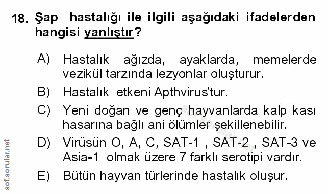 Soru 18