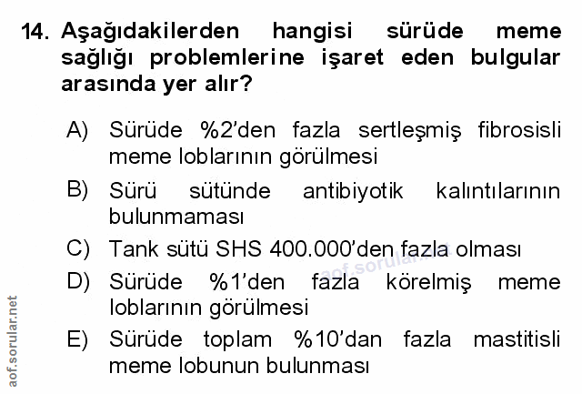 Soru 14