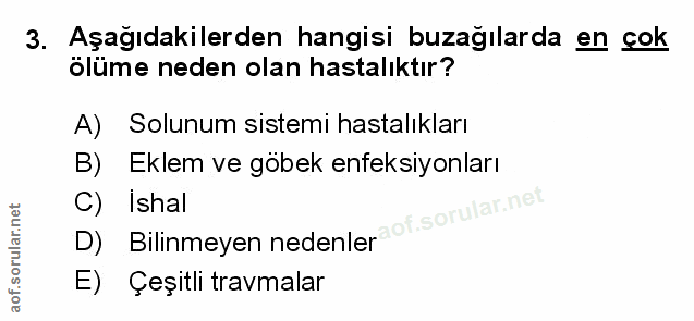 Soru 3