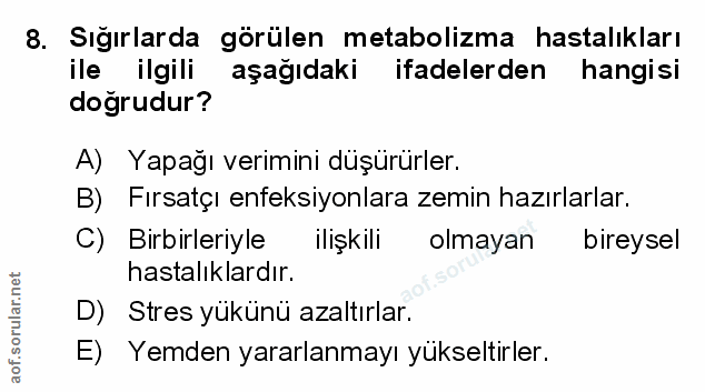 Soru 8