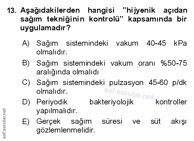 Soru 13