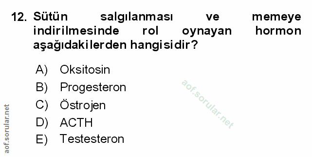 Soru 12