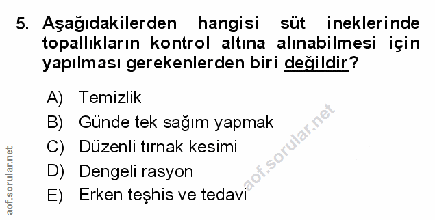 Soru 5