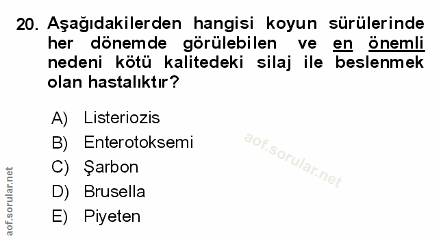 Soru 20