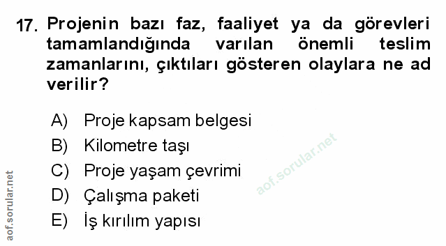Soru 17