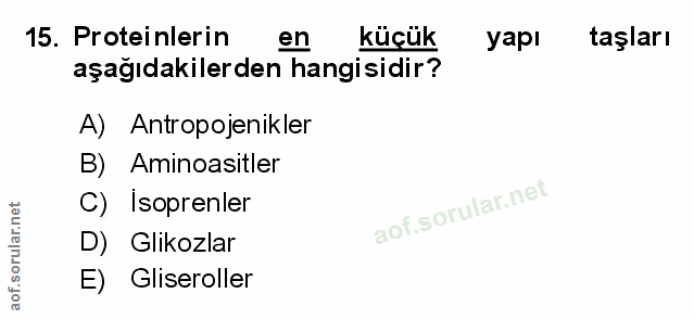 Soru 15