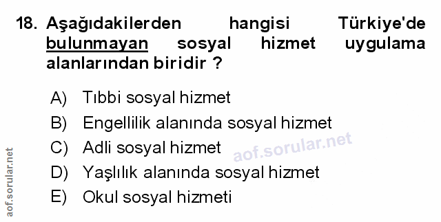 Soru 18
