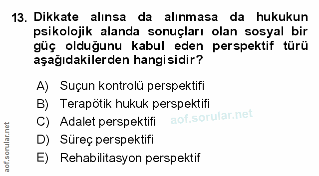 Soru 13