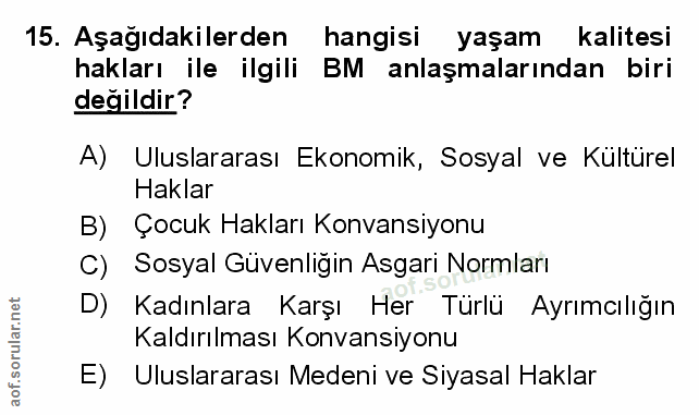 Soru 15