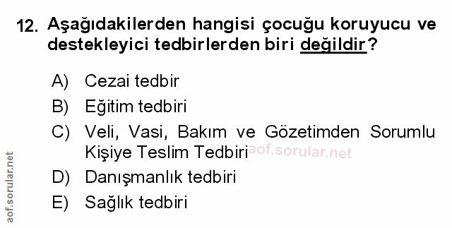 Soru 12