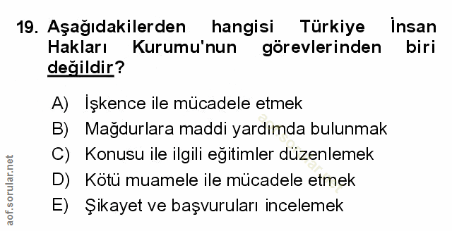 Soru 19