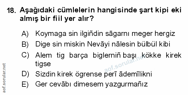 Soru 18