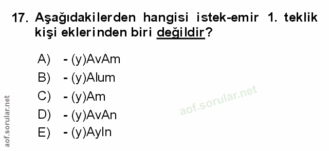Soru 17