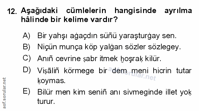 Soru 12