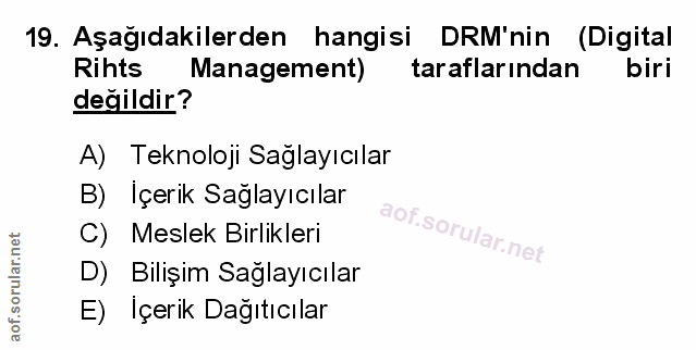 Soru 19