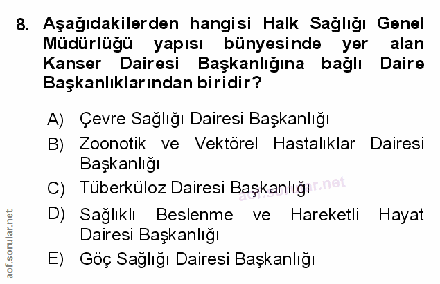 Soru 8