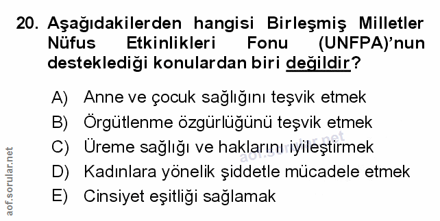 Soru 20