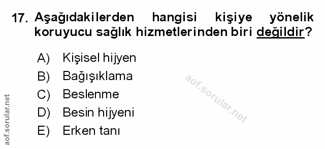 Soru 17