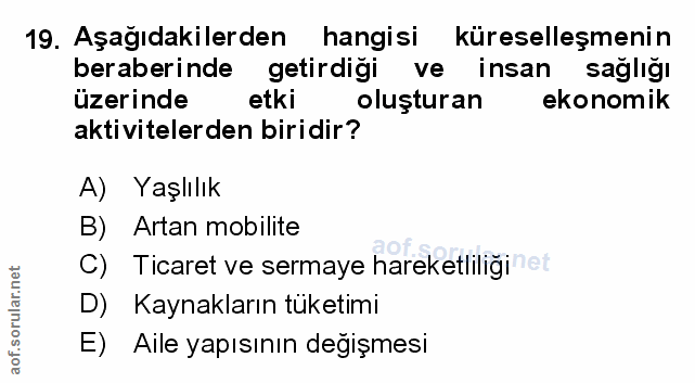 Soru 19