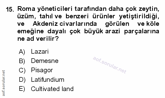 Soru 15