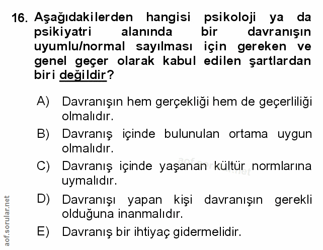 Soru 16