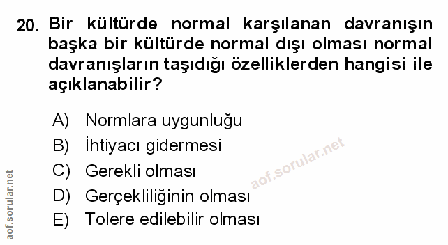 Soru 20