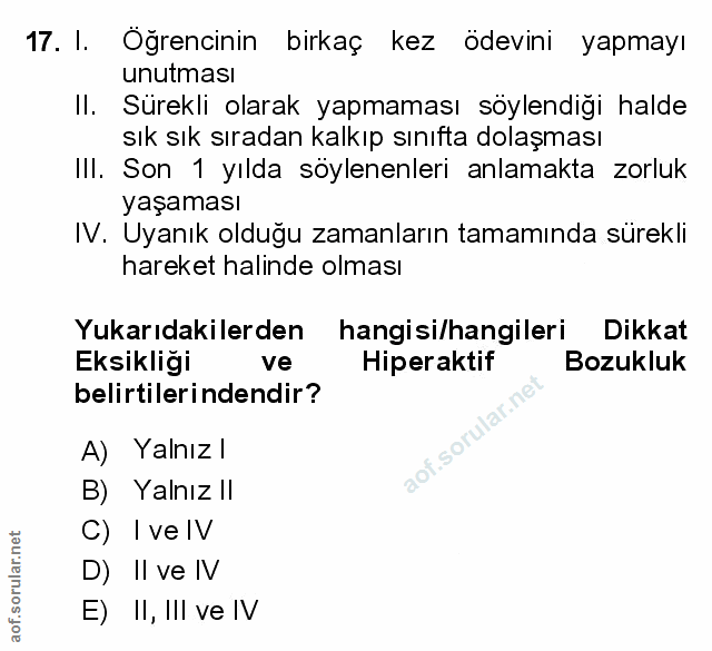 Soru 17