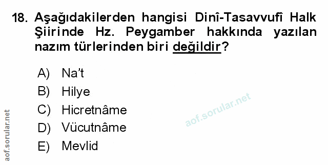 Soru 18