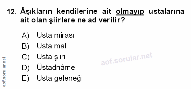 Soru 12