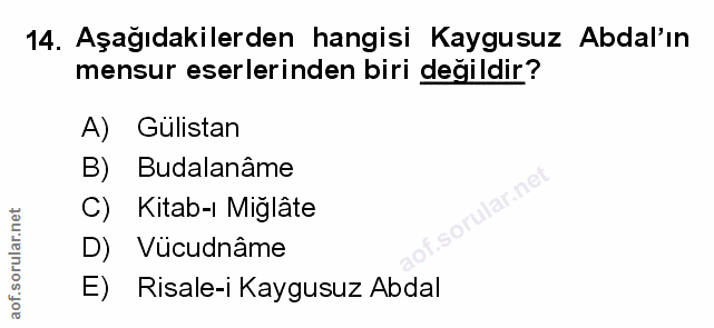 Soru 14