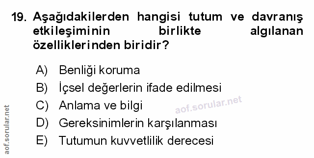 Soru 19