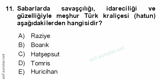 Soru 11